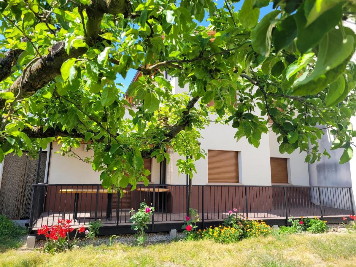 Casa Julio, Bonita Casa Comoda Y Espaciosa, Totalmente Reformada Con Terraza Y Jardin Privado Riezu Esterno foto